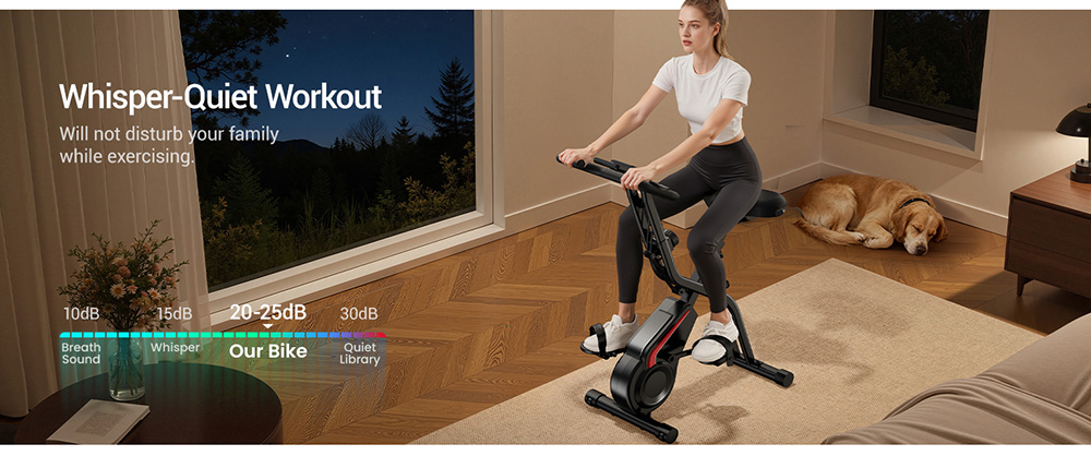 ROBORE CBX10 Home Exercise Bike  Quiet Magnetic Resistance  8-Level Adjustable  Adjustable Seat