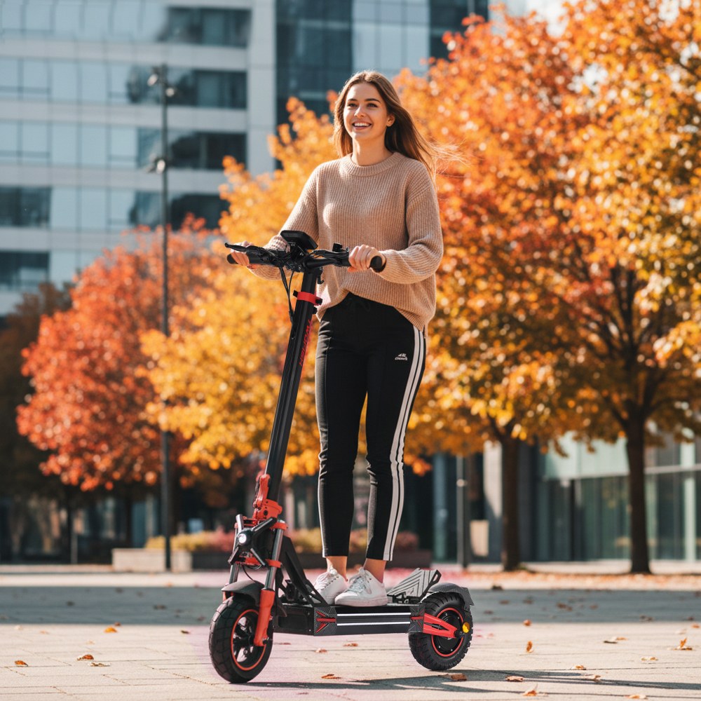 TWOFISH V4 MAX Electric Scooter 800W Motor 52V 23Ah Battery 10 inch Tires 57km/h Max Speed 60km Range Dual Disc Brake Fr