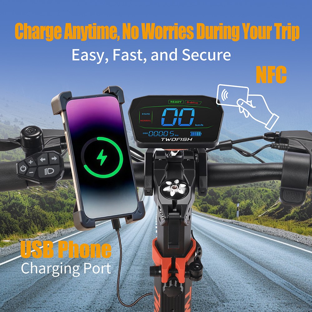 TWOFISH V4 MAX Electric Scooter 800W Motor 52V 23Ah Battery 10 inch Tires 57km/h Max Speed 60km Range Dual Disc Brake Fr