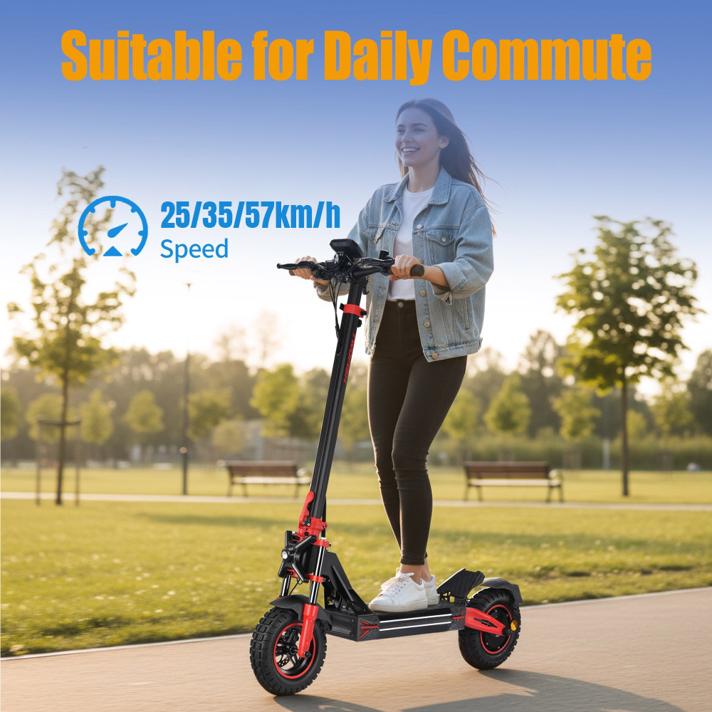 TWOFISH V4 MAX Electric Scooter 800W Motor 52V 23Ah Battery 10 inch Tires 57km/h Max Speed 60km Range Dual Disc Brake Fr