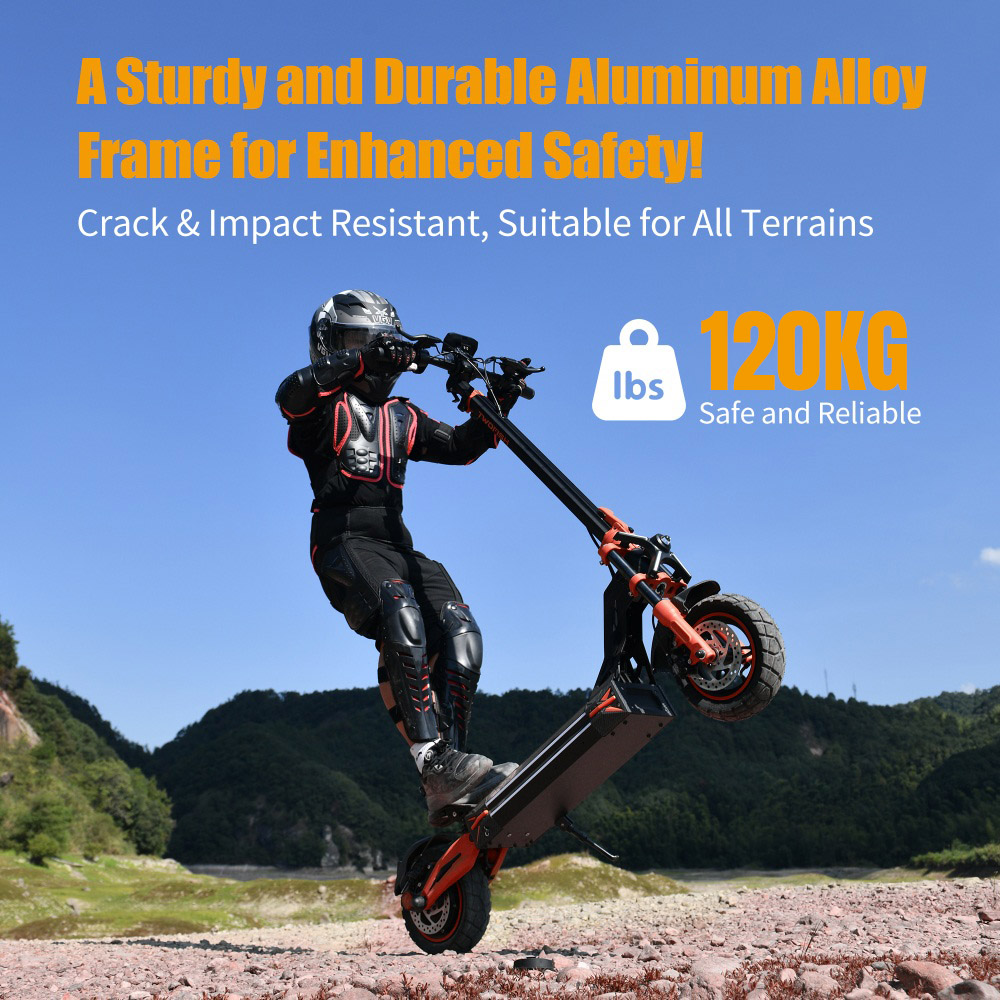 TWOFISH V4 MAX Electric Scooter 800W Motor 52V 23Ah Battery 10 inch Tires 57km/h Max Speed 60km Range Dual Disc Brake Fr