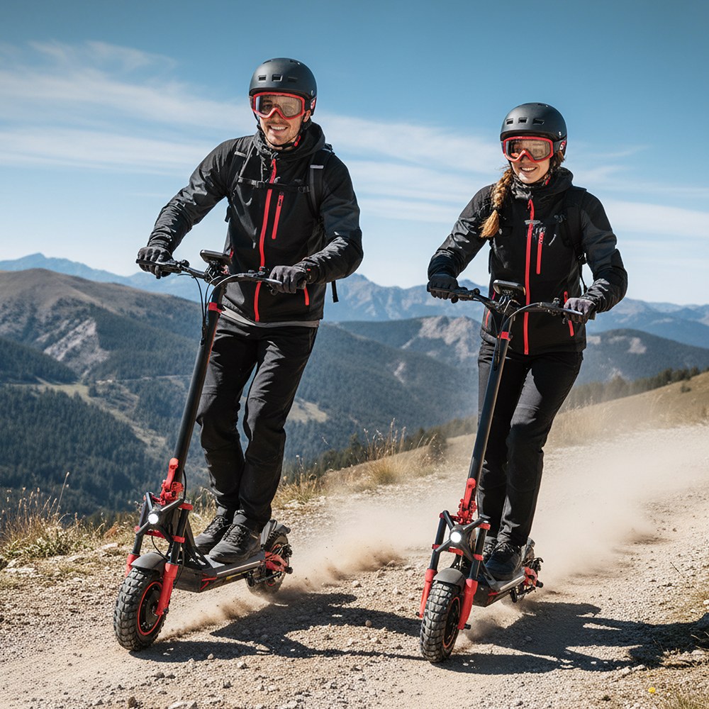 TWOFISH TW4 PRO Electric Scooter 1000W*2 Motor 60V 23Ah Battery 11 inch Tires 72km/h Max Speed 60km Max Range Dual Disc B