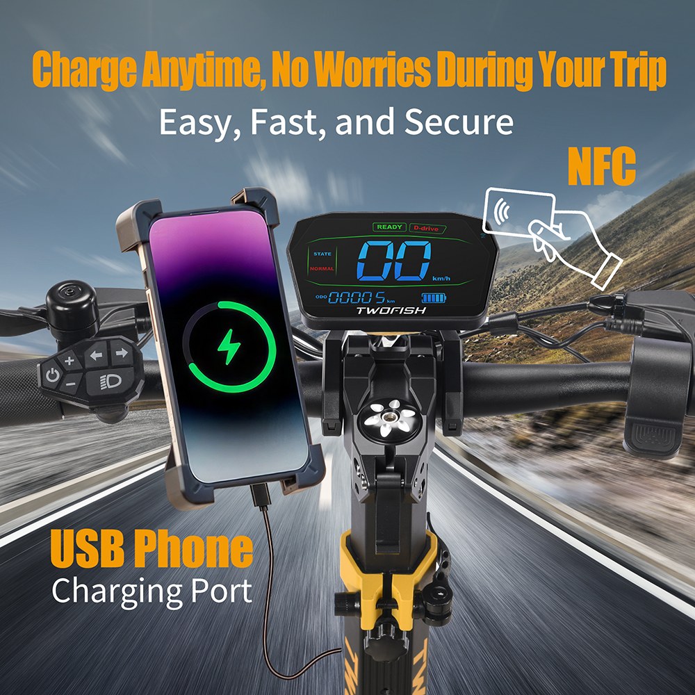 TWOFISH TW4 PRO Electric Scooter 1000W*2 Motor 60V 23Ah Battery 11 inch Tires 72km/h Max Speed 60km Max Range Dual Disc B