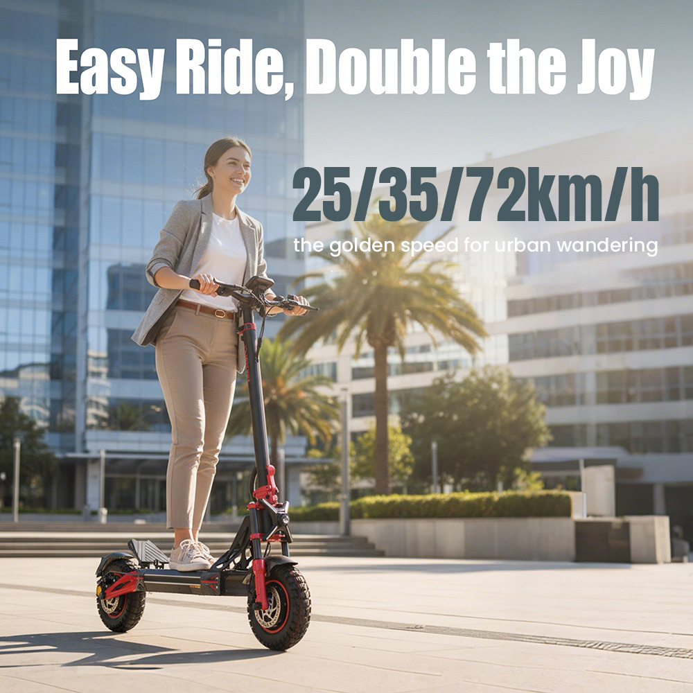 TWOFISH TW4 PRO Electric Scooter 1000W*2 Motor 60V 23Ah Battery 11 inch Tires 72km/h Max Speed 60km Max Range Dual Disc B