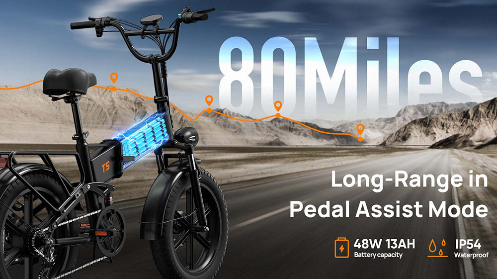 URLIFE T5 Electric Bike  750W Motor  48V 13Ah Battery  20*4 inch Tires  45km/h Max Speed  125km Max Range  Dual Disc Brakes  Fu
