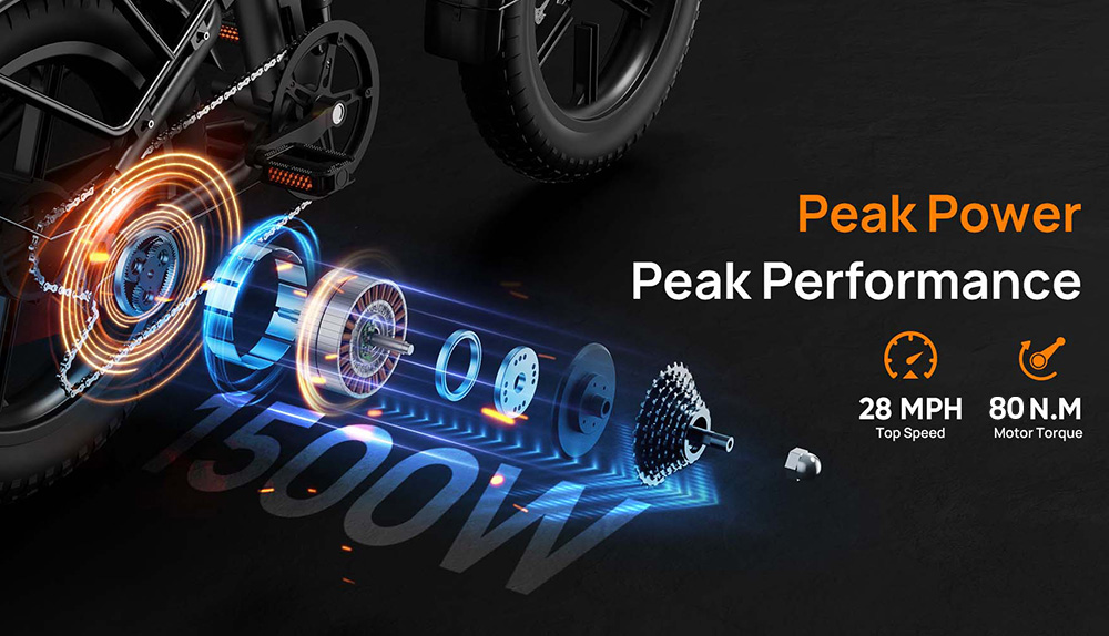 URLIFE T5 Electric Bike  750W Motor  48V 13Ah Battery  20*4 inch Tires  45km/h Max Speed  125km Max Range  Dual Disc Brakes  Fu