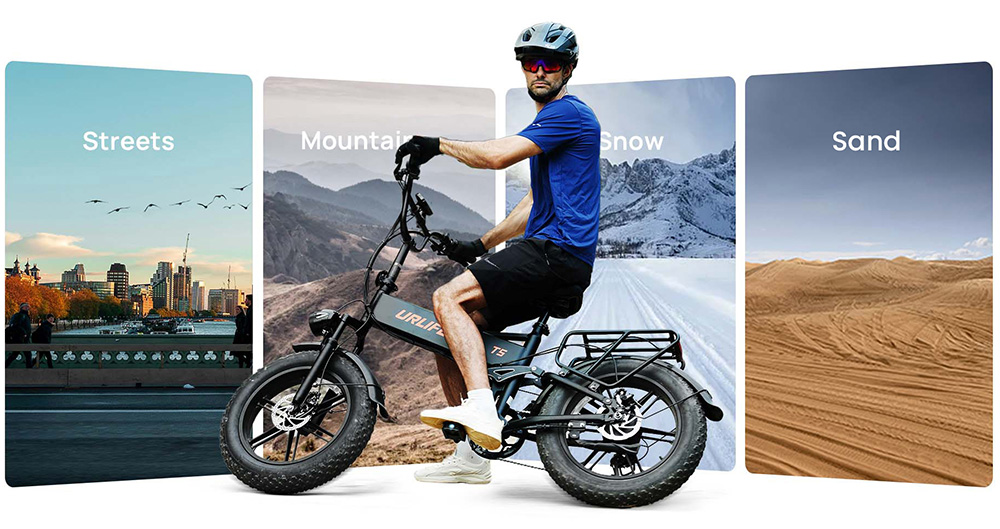 URLIFE T5 Electric Bike  750W Motor  48V 13Ah Battery  20*4 inch Tires  45km/h Max Speed  125km Max Range  Dual Disc Brakes  Fu