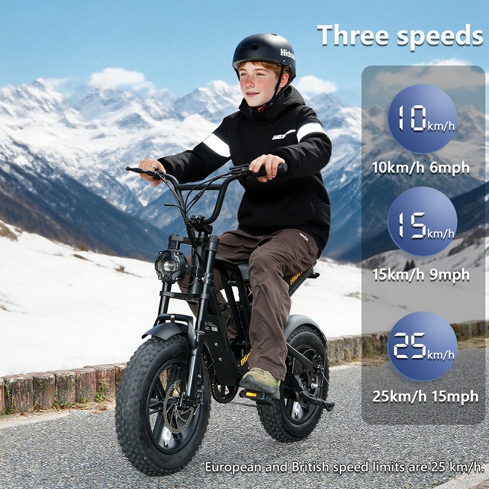 Hidoes B6mini Electric Bike  500W Motor  48V 10 4Ah Battery  16 inch Tires  35km/h Max Speed  28km Range  Front