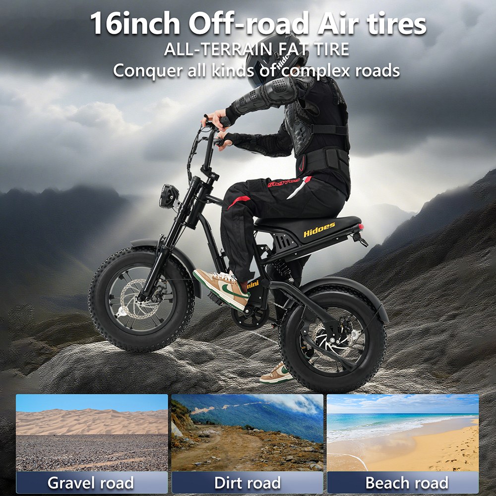 Hidoes B6mini Electric Bike  500W Motor  48V 10 4Ah Battery  16 inch Tires  35km/h Max Speed  28km Range  Front