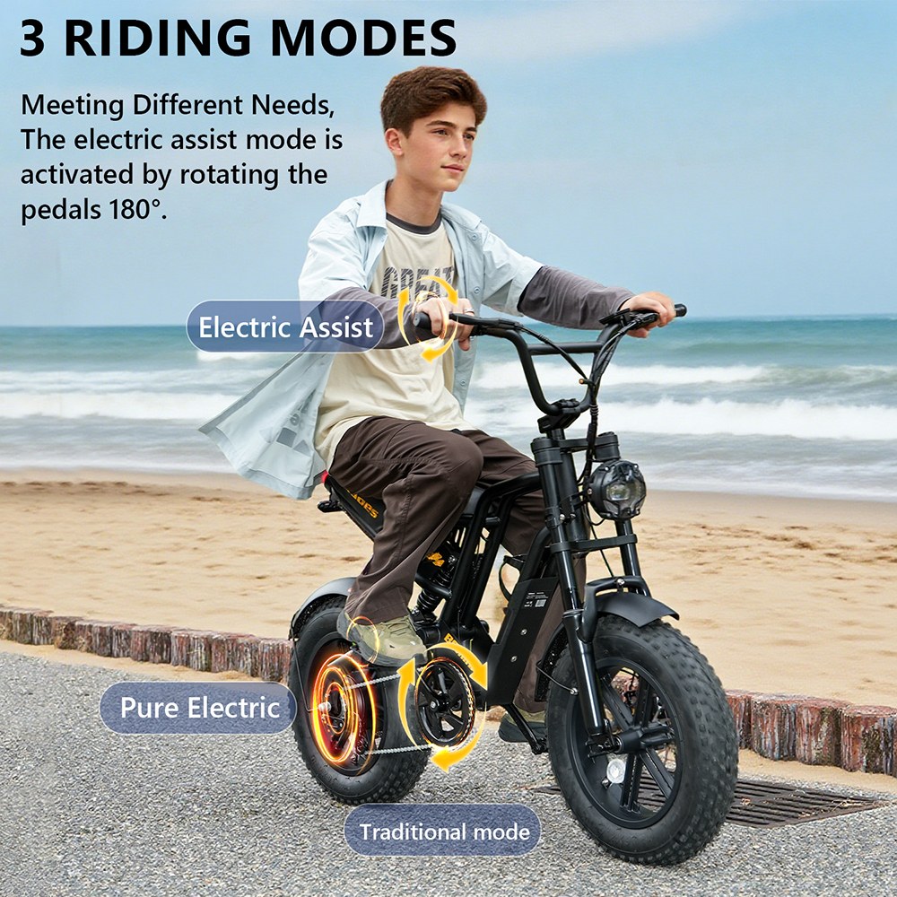 Hidoes B6mini Electric Bike  500W Motor  48V 10 4Ah Battery  16 inch Tires  35km/h Max Speed  28km Range  Front
