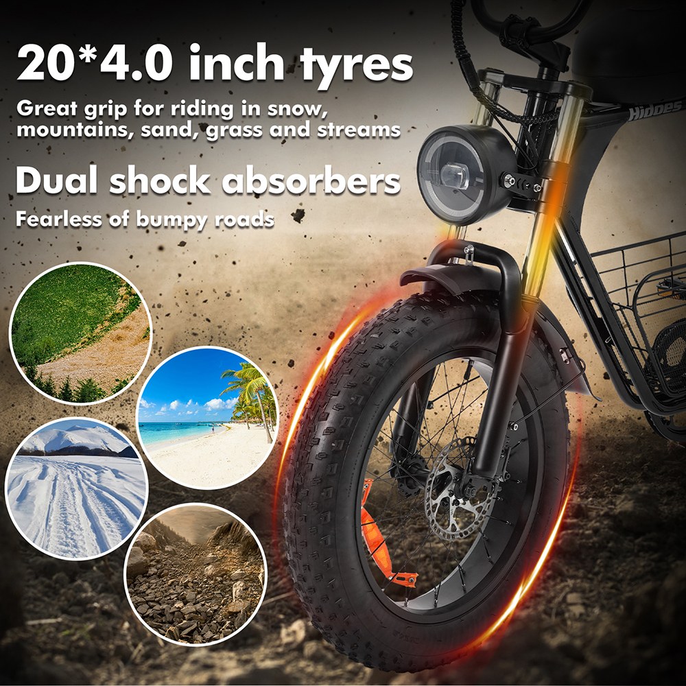 Hidoes B9 Electric Bike  750W Motor  48V 18 2Ah 15 6Ah Dual Battery  20*4 0 inch Tires  45km/h Max Speed  150km Max Range  Fron