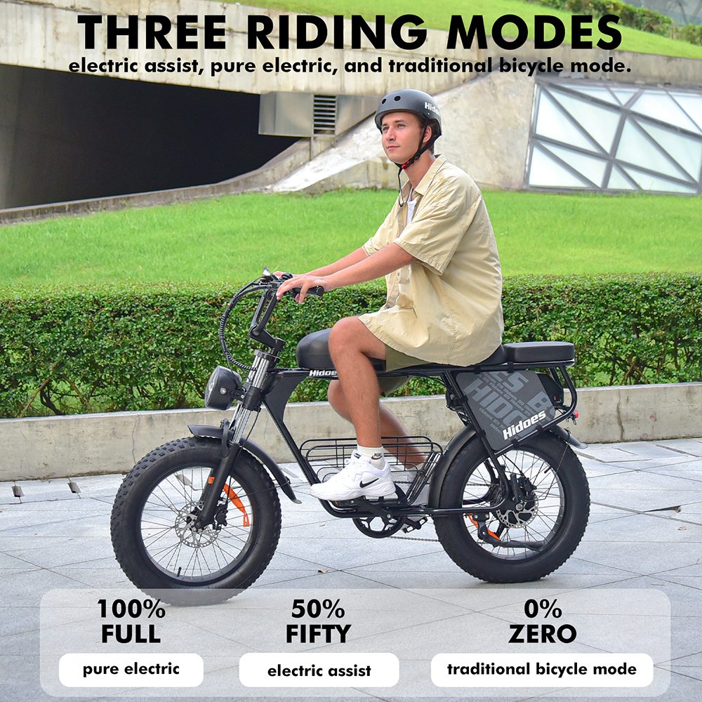 Hidoes B9 Electric Bike  750W Motor  48V 18 2Ah 15 6Ah Dual Battery  20*4 0 inch Tires  45km/h Max Speed  150km Max Range  Fron