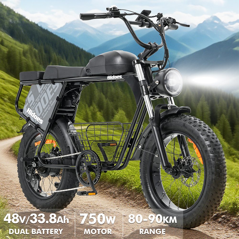 Hidoes B9 Electric Bike  750W Motor  48V 18 2Ah 15 6Ah Dual Battery  20*4 0 inch Tires  45km/h Max Speed  150km Max Range  Fron