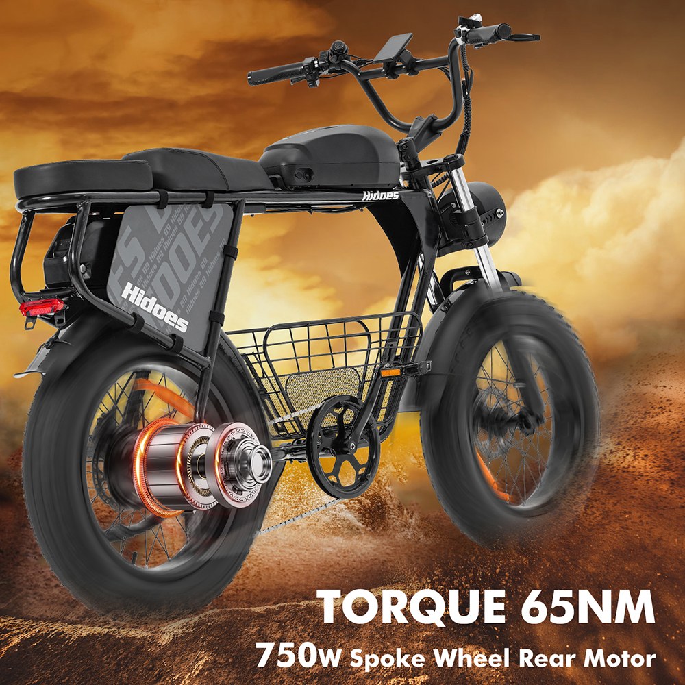 Hidoes B9 Electric Bike  750W Motor  48V 18 2Ah 15 6Ah Dual Battery  20*4 0 inch Tires  45km/h Max Speed  150km Max Range  Fron