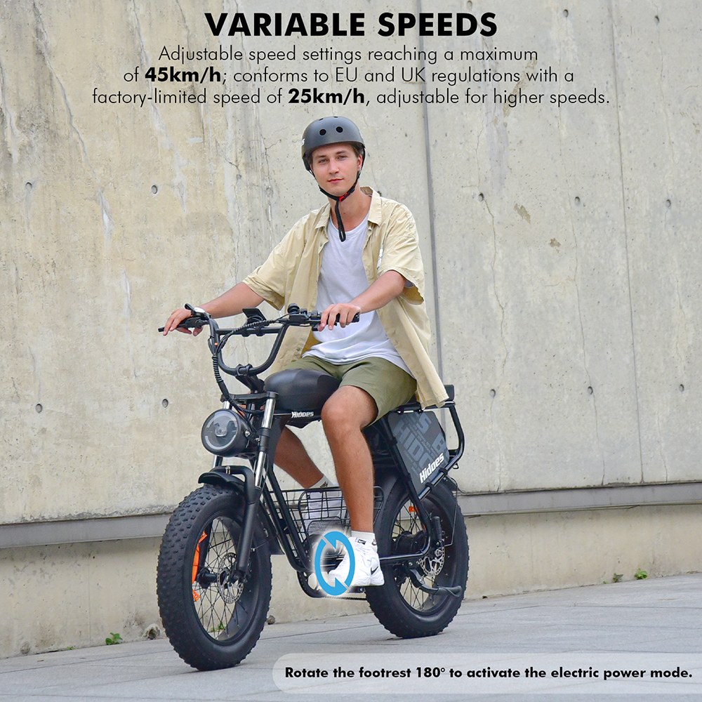 Hidoes B9 Electric Bike  750W Motor  48V 18 2Ah 15 6Ah Dual Battery  20*4 0 inch Tires  45km/h Max Speed  150km Max Range  Fron