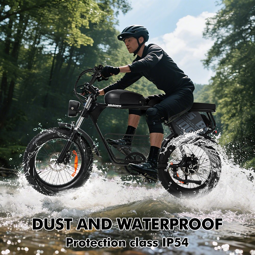 Hidoes B9 Electric Bike  750W Motor  48V 18 2Ah 15 6Ah Dual Battery  20*4 0 inch Tires  45km/h Max Speed  150km Max Range  Fron