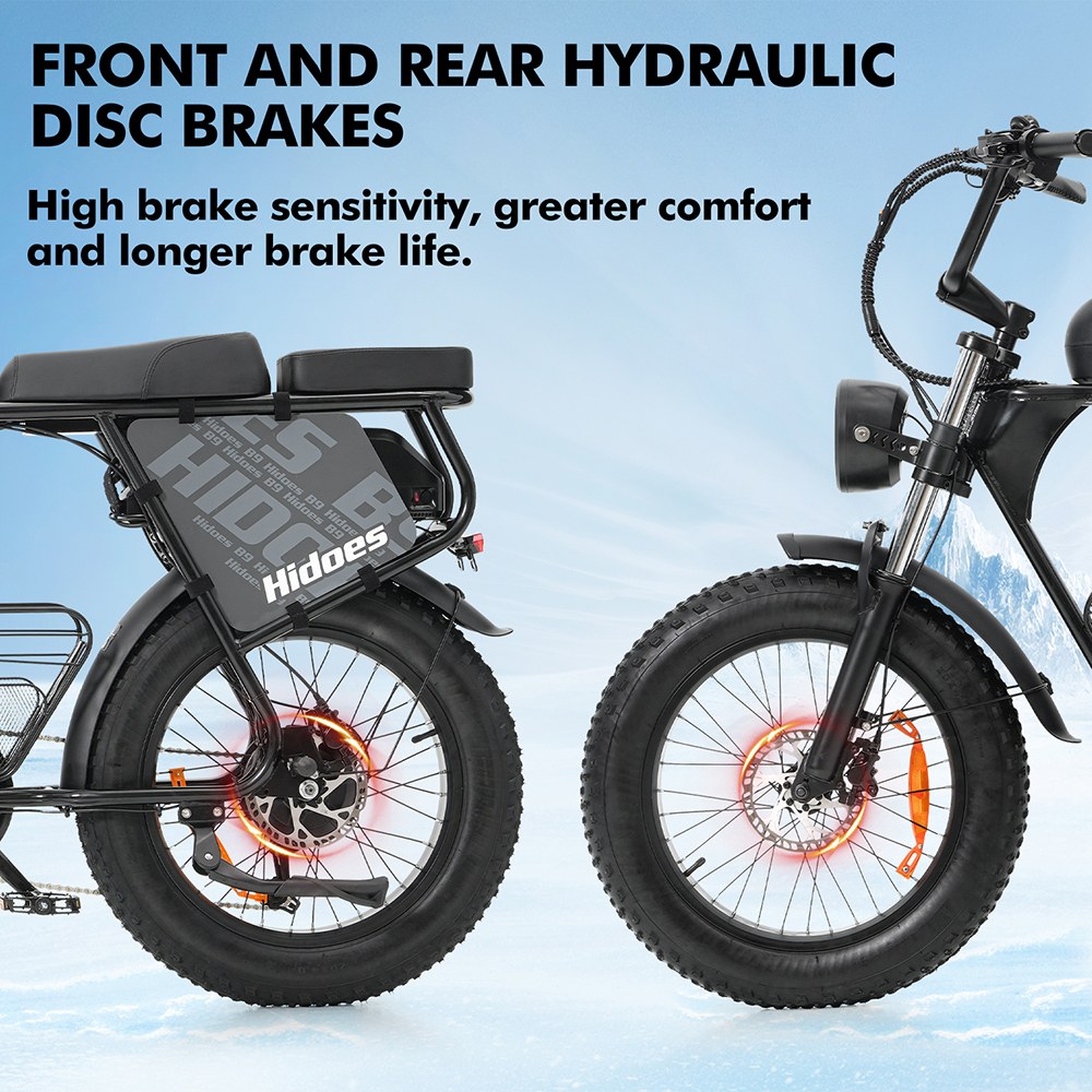 Hidoes B9 Electric Bike  750W Motor  48V 18 2Ah 15 6Ah Dual Battery  20*4 0 inch Tires  45km/h Max Speed  150km Max Range  Fron