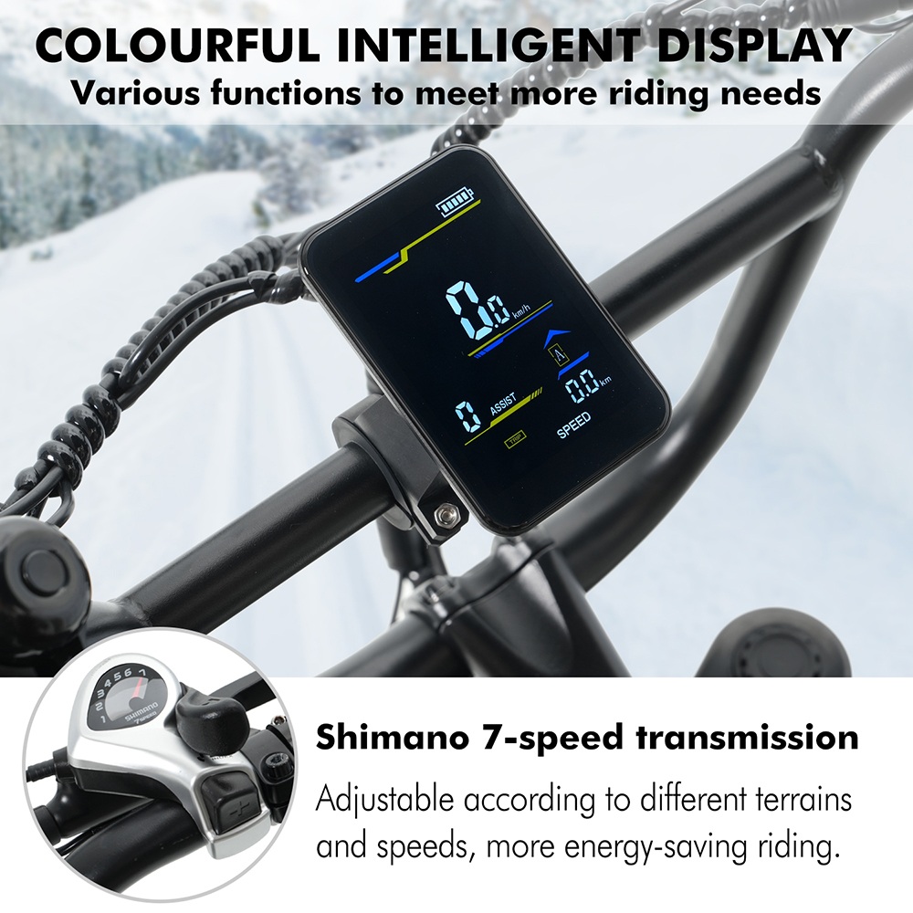 Hidoes B9 Electric Bike  750W Motor  48V 18 2Ah 15 6Ah Dual Battery  20*4 0 inch Tires  45km/h Max Speed  150km Max Range  Fron