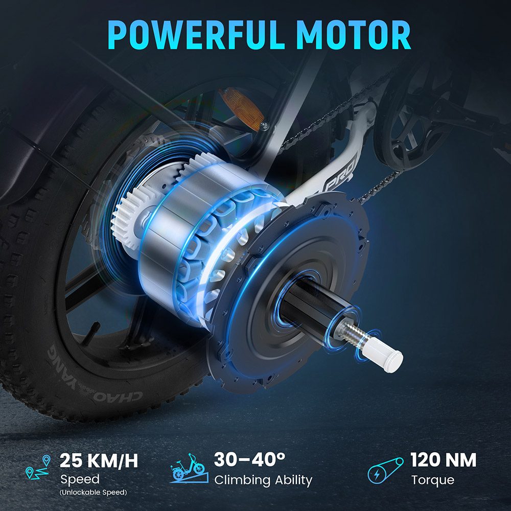 RATTAN LF Pro Electric Bike 750W Motor 48V 18Ah Battery 25km/h Speed 40° Climbing Angle 75 Miles Range IP65 Waterproof -