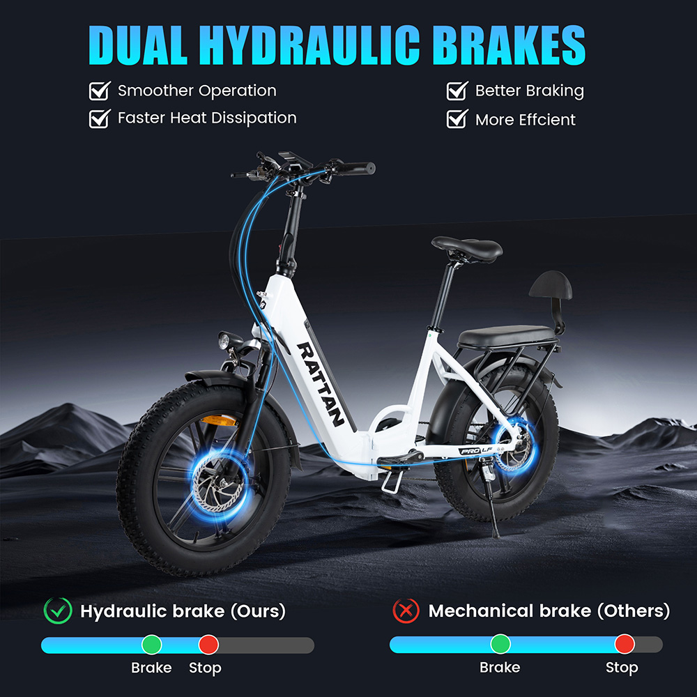 RATTAN LF Pro Electric Bike 750W Motor 48V 18Ah Battery 25km/h Speed 40° Climbing Angle 75 Miles Range IP65 Waterproof -