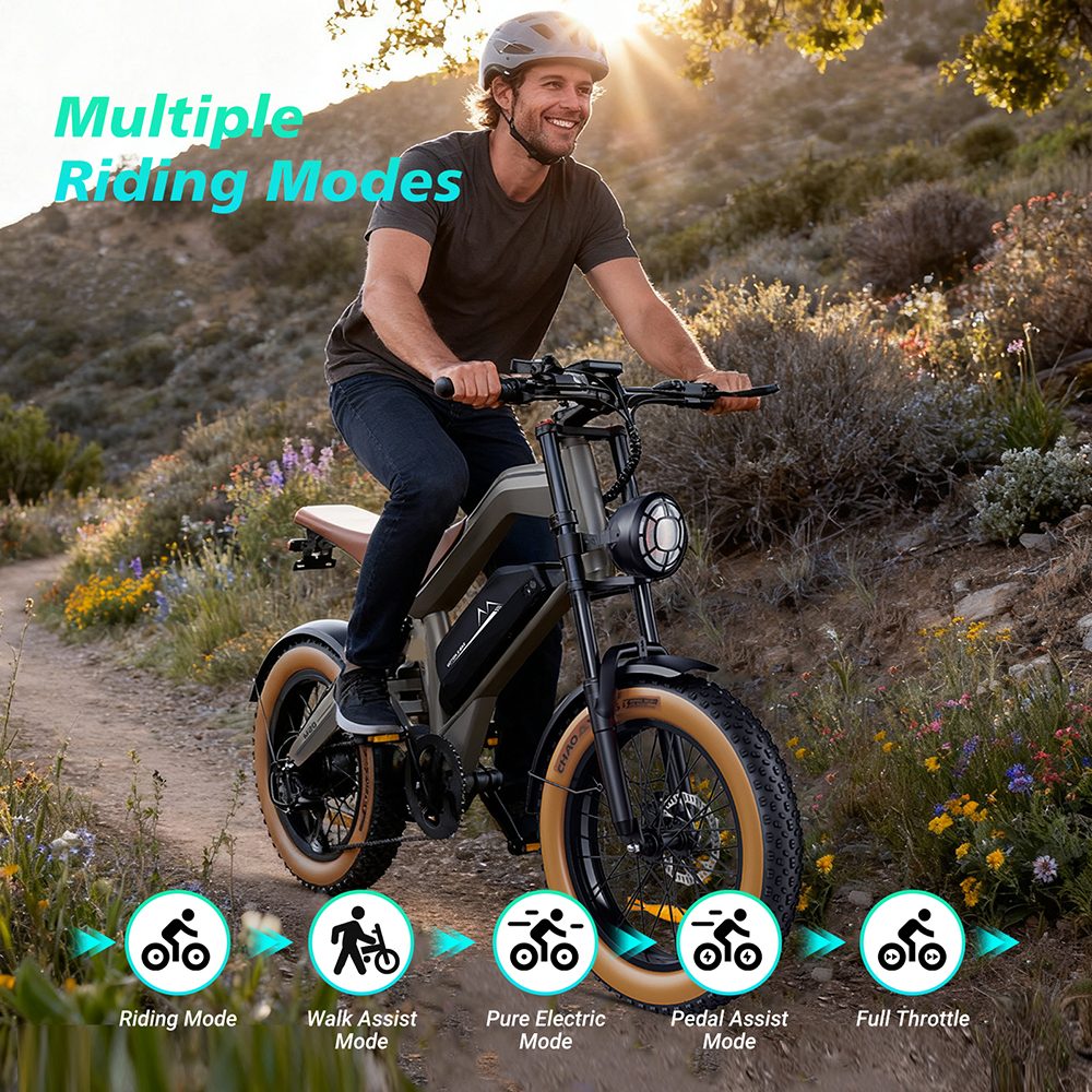ZONVEER M20 Electric Bike 1000W 1500W Peak Motor 48V 18 2Ah Battery 55km/h Max Speed 60km PAS Range 20