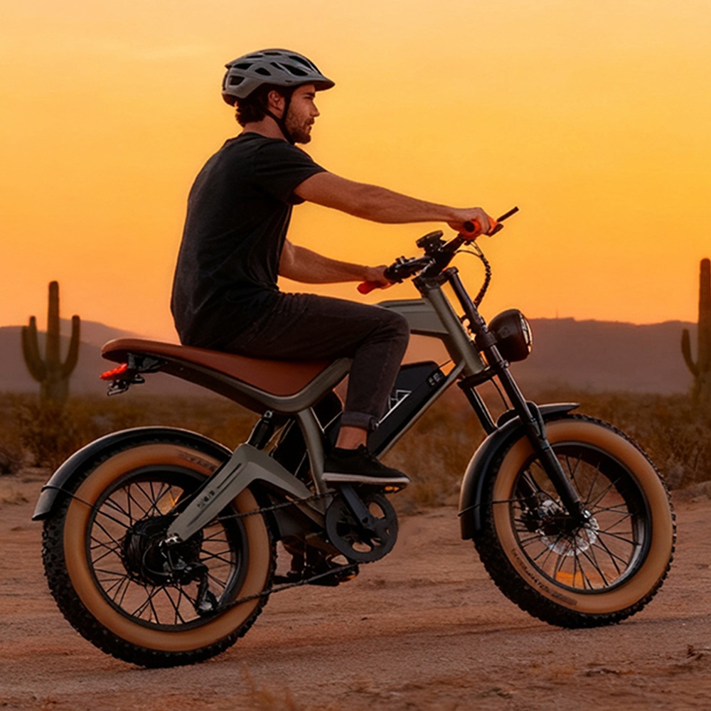ZONVEER M20 Electric Bike 1000W 1500W Peak Motor 48V 18 2Ah Battery 55km/h Max Speed 60km PAS Range 20