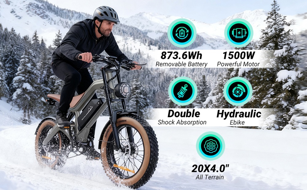 ZONVEER M20 Electric Bike 1000W 1500W Peak Motor 48V 18 2Ah Battery 55km/h Max Speed 60km PAS Range 20