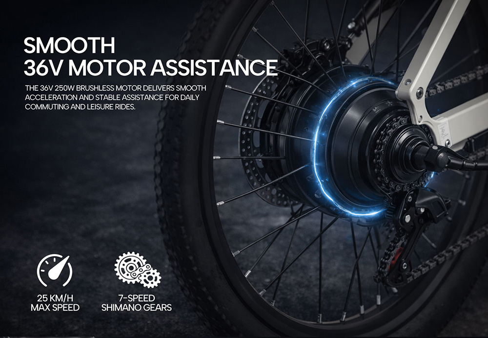 PIXAR C1 Electric Bike 250W Motor 36V 13Ah Battery 25km/h Max Speed 65km Range 27 5'×1 95' Tires Shimano 7-Speed 150kg