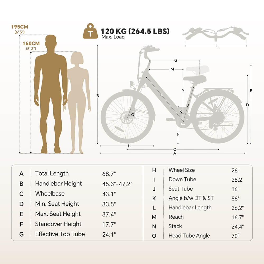 Foride Roamer 2 Step-Thru Electric Bike  250W Motor  36V 15 6Ah Battery  26'×1 75' Tires  25km/h Max Speed  100km Max Range  M