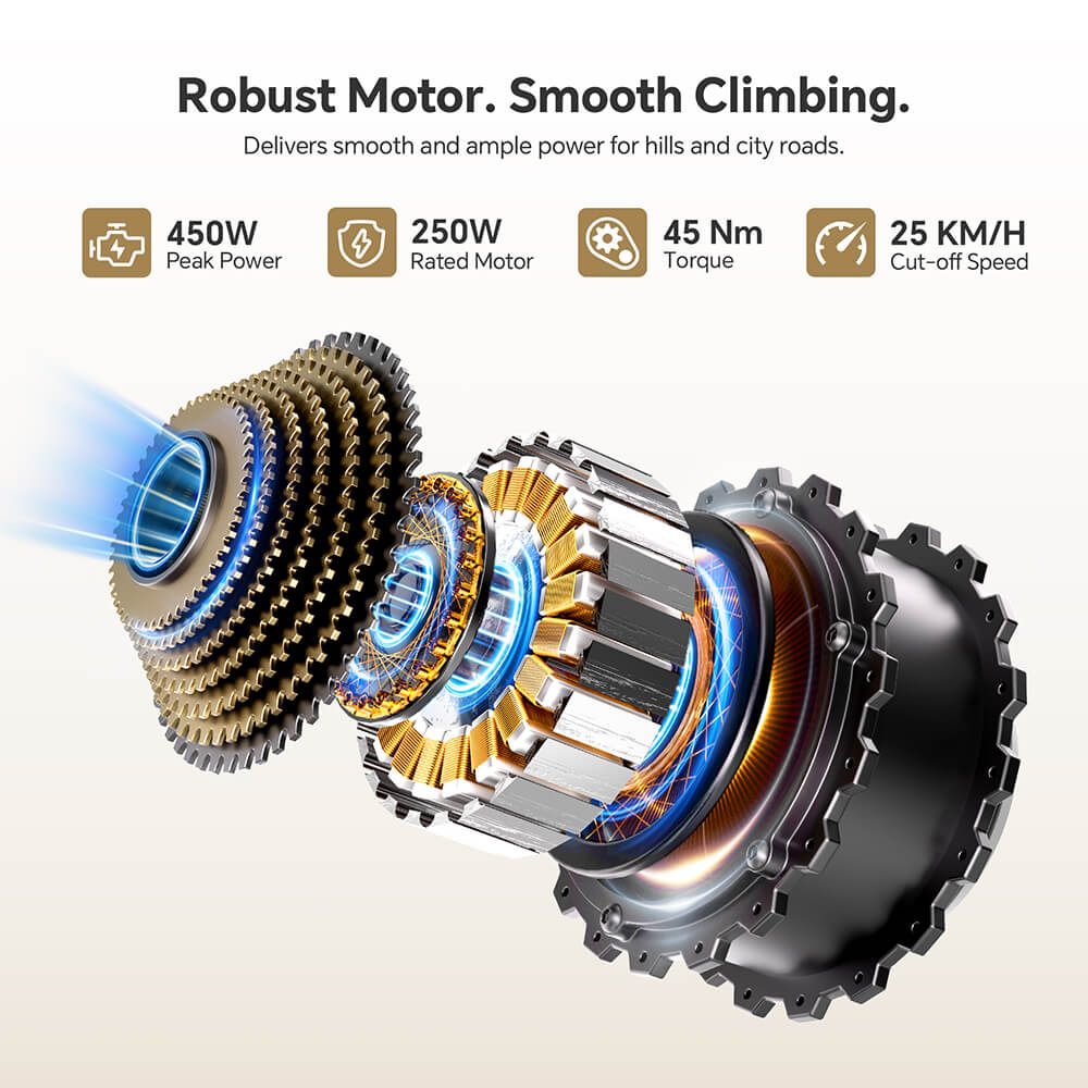 Foride Roamer 2 Step-Thru Electric Bike  250W Motor  36V 15 6Ah Battery  26'×1 75' Tires  25km/h Max Speed  100km Max Range  M