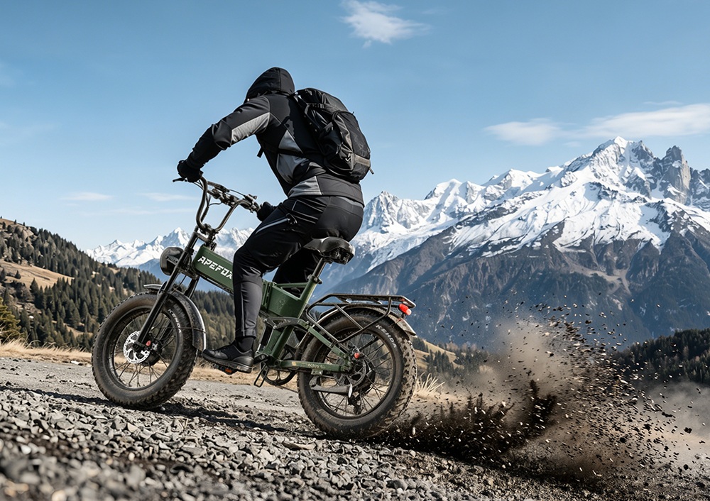 APEFOX RH20 Electric Bike Dual 750W Hub Motors 48V 22 5Ah Lithium Battery 50km/h Max Speed 100km Range 20×4 0