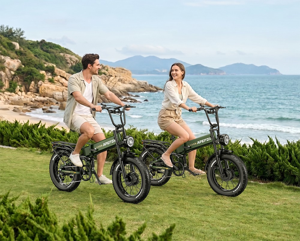 APEFOX RH20 Electric Bike Dual 750W Hub Motors 48V 22 5Ah Lithium Battery 50km/h Max Speed 100km Range 20×4 0