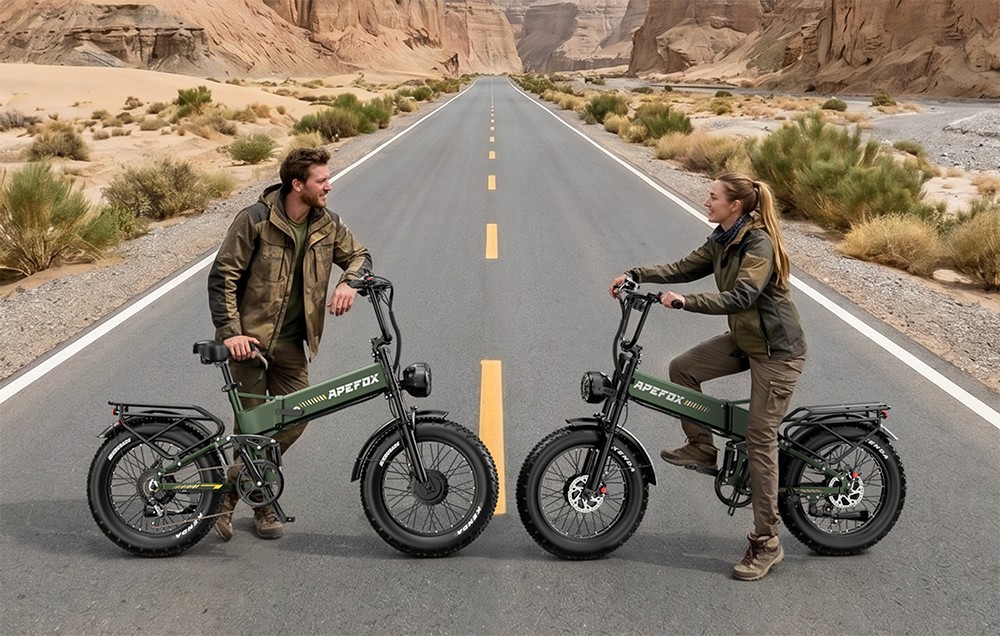 APEFOX RH20 Electric Bike Dual 750W Hub Motors 48V 22 5Ah Lithium Battery 50km/h Max Speed 100km Range 20×4 0