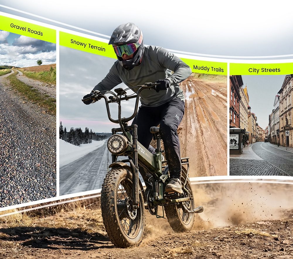 APEFOX RH20 Electric Bike Dual 750W Hub Motors 48V 22 5Ah Lithium Battery 50km/h Max Speed 100km Range 20×4 0