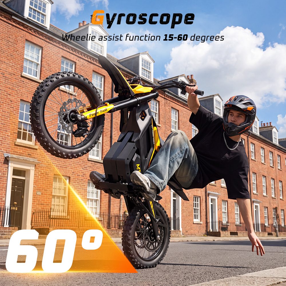 MT2 Electric Motorcycle 3000W Peak Motor 48V 22 5Ah Removable Battery 220N·m Torque 60km/h Max Speed Up to 72km Range 58