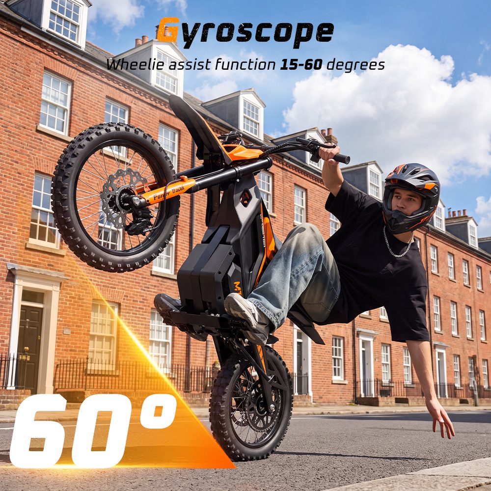 MT2 Electric Motorcycle 3000W Peak Motor 48V 22 5Ah Removable Battery 220N·m Torque 60km/h Max Speed Up to 72km Range 58