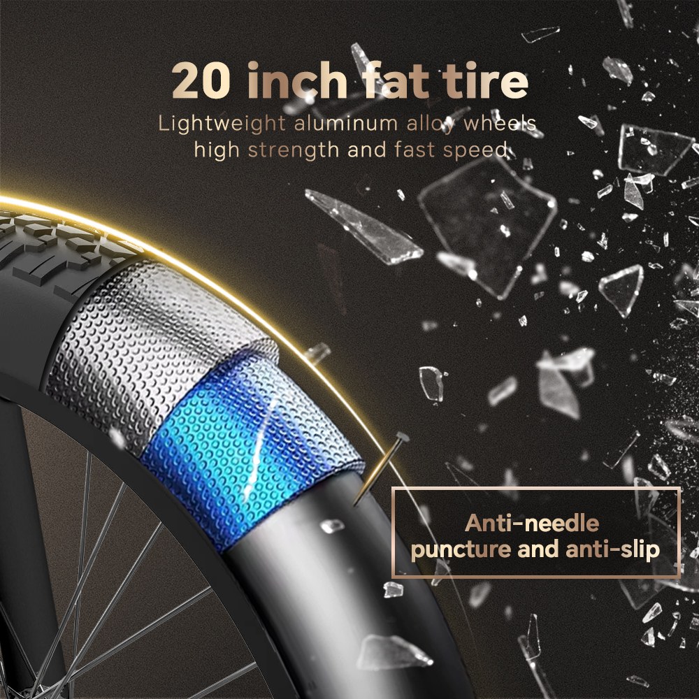DRVETION CT20 Pro Foldable Electric Bike 750W Motor 48V 20Ah Samsung Battery 25km/h Unlocked 80km Range 20×4 0